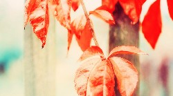 Tata Steel Tubes Maastricht